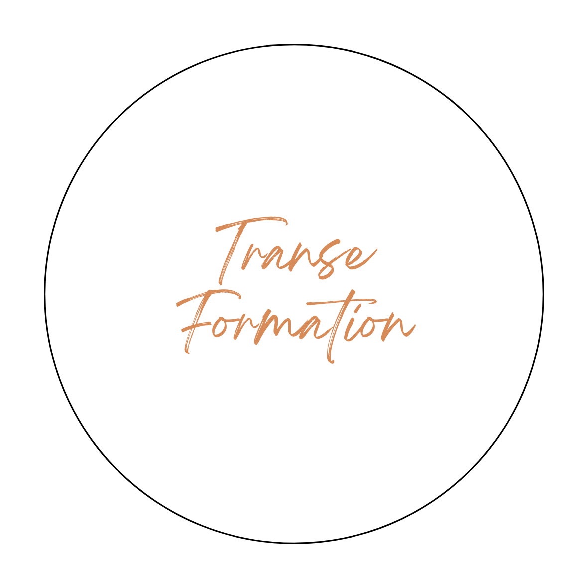 Visuel original de la formation Transe-formation 2026–2027
