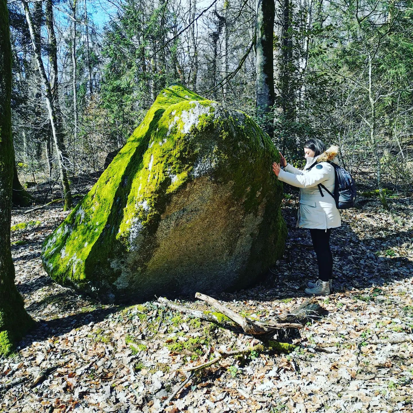 Une personne pose ses mains sur une grande pierre couverte de mousse dans la forêt