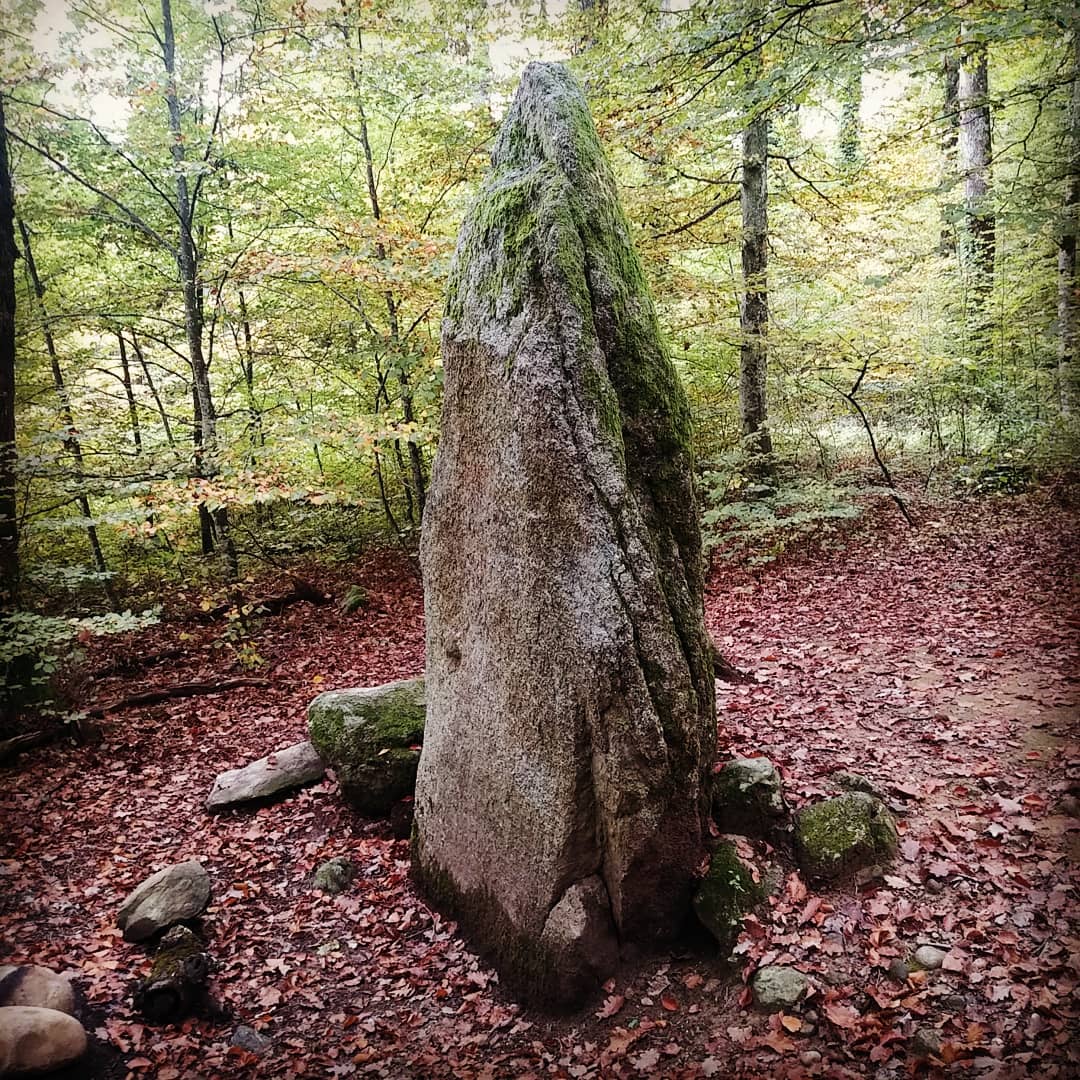 Une grande pierre dressée au milieu des arbres et des feuilles d’automne