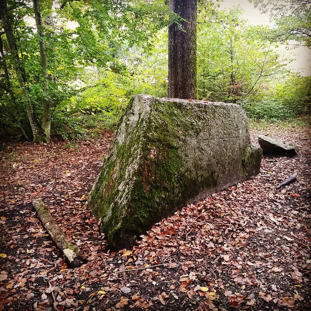 Un grand rocher moussu entouré d’arbres et d’un tapis de feuilles